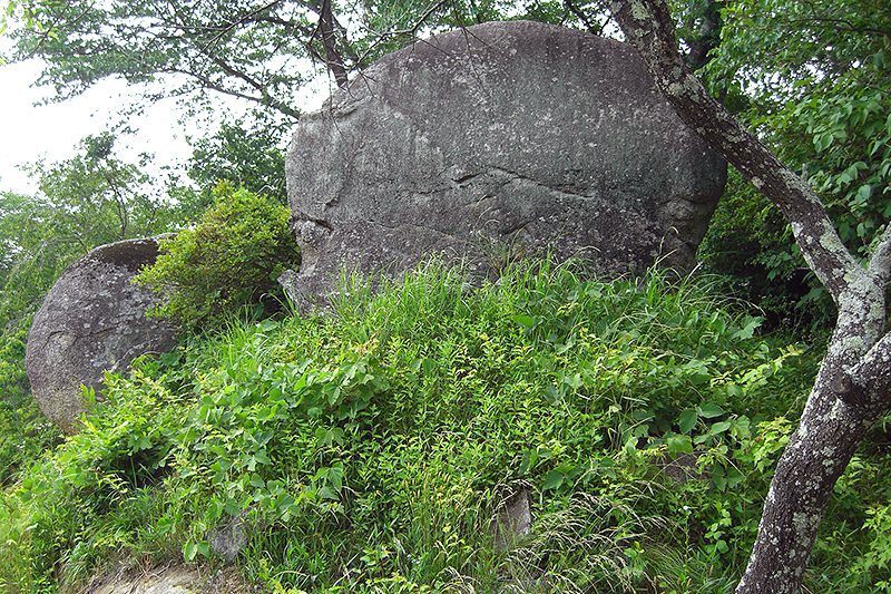 案内板